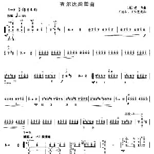 柳琴考级曲目八级 查尔达斯舞曲 王惠然 王红艺改编