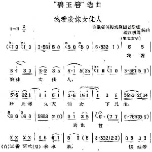 黄梅戏谱 | 碧玉簪 选曲 我看表妹女佳人 安徽省黄梅戏剧团音乐组 潘汉明等编曲