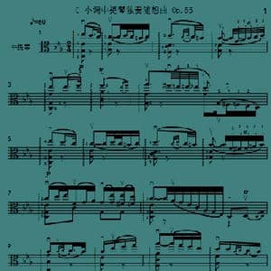 C 小调中提琴独奏随想曲 Op.55_歌谱投稿