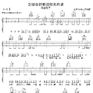 别说我的眼泪你无所谓 吉他谱 东来东往