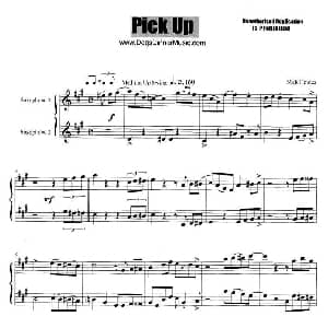 萨克斯谱 | Pick Up 二重奏