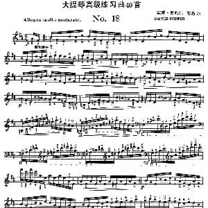 大提琴高级练习曲40首 No.18 戴维 波帕尔