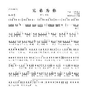 兄弟为你_歌曲简谱_词曲:何流 一博 一博