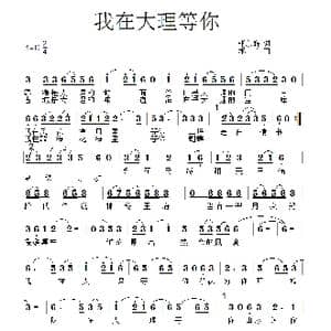 我在大理等你_歌曲简谱_词曲:张东辉 禾丫