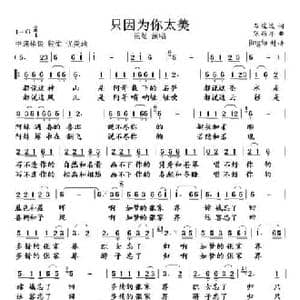 只因为你太美_民歌简谱