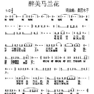 醉美马兰花_通俗唱法乐谱_词曲:桑园木子 桑园木子