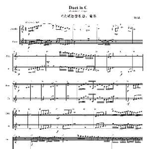 C大调 短笛 长笛二重奏_歌曲简谱_词曲: Shrish