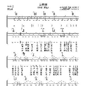 白桦林_歌曲简谱_词曲:朴树 朴树