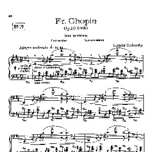 53首以肖邦练习曲为素材而作的练习曲 钢琴谱 里奥鲍尔德 戈多夫斯基