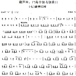 巴乌十级考级曲目 勐养江畔 哏德全