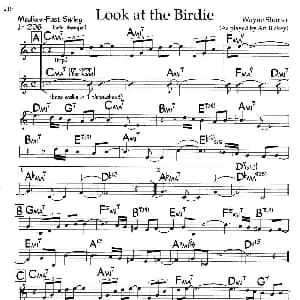 Look at the Birdie 钢琴谱