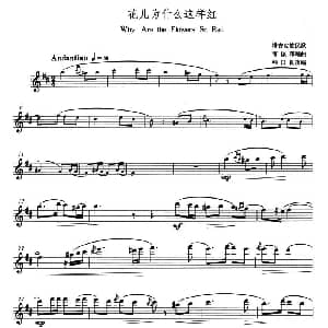 长笛曲谱 | 花儿为什么这样红 韩国良 改编