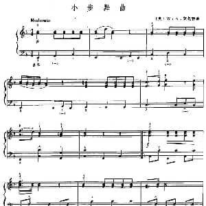 手风琴谱 | 小步舞曲 莫扎特作曲版 奥 莫扎特