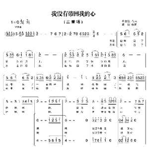 我没有带回我的心_歌曲简谱_词曲:瞿琮 平安俊