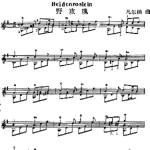 西班牙吉他独奏曲 野玫瑰 吉他谱 凡尔纳