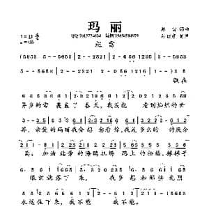 玛丽_歌曲简谱_词曲:赵雷 赵雷
