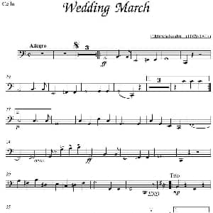 Wedding March 大提琴分谱 F.Mendelssohn作曲版 F.Mendelssohn