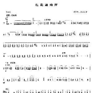 红花遍地开 笙谱