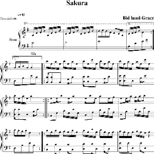 Sakura 钢琴谱