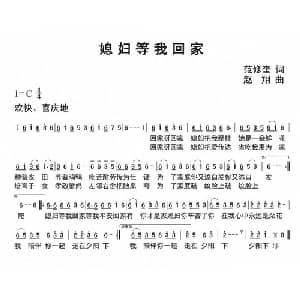 媳妇等我回家_通俗唱法乐谱_词曲:范修奎 赵翔