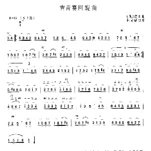 二胡谱 | 吉普赛回旋曲 海顿曲 林光璇改编