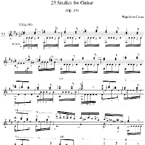 Napoleon Coste 25 Studies,Op.38 吉他谱