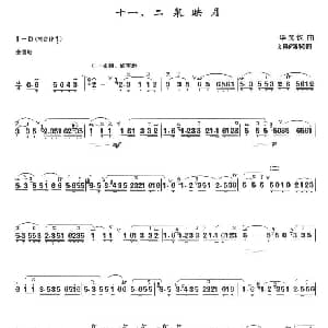 二泉映月 箫独奏曲 刘群强移植版 华彦钧曲 刘群强移植