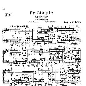 53首以肖邦练习曲为素材而作的练习曲 钢琴谱 里奥鲍尔德 戈多夫斯基