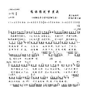 想你想到梦里头_歌曲简谱_词曲:黄大军 黄大军