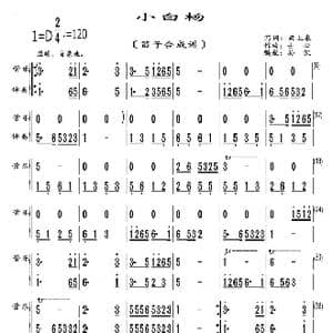 小白杨_歌曲简谱_词曲:梁上泉 士心