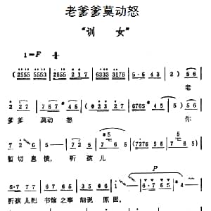 豫剧谱 | 老爹爹莫动怒 秦雪梅 训女 选段