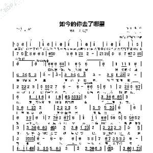 如今的你去了哪里_歌曲简谱_词曲:孤单 孤单