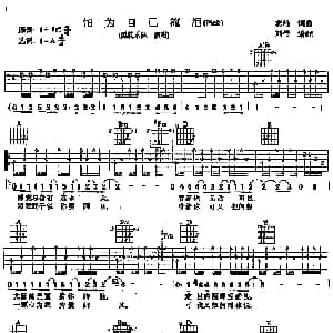 怕为自己流泪 吉他谱 黑豹乐队 窦唯 窦唯