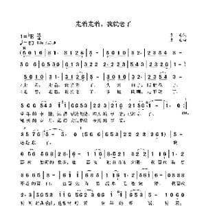 走着走着,我就老了_歌曲简谱_词曲:袁龙 袁龙