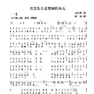 希望是长着翅膀的鸟儿_歌曲简谱_词曲:石启荣 谢伟