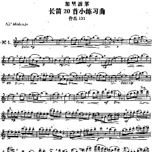 长笛曲谱 | 二十首练习曲作品131号 NO.1 Garibold 加里波第