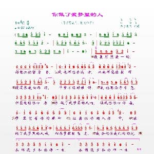 你做了我梦里的人_歌曲简谱_词曲:荣荣 钰柃