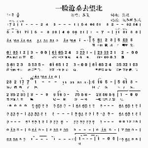 一脸沧桑去望北_歌谱投稿_词曲:张超 张超
