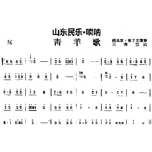 青羊歌 山东民乐 唢呐 王海云记谱