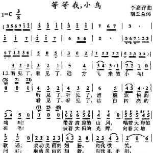 等等我,小鸟_儿歌乐谱_词曲:胡玉兰 李嘉评