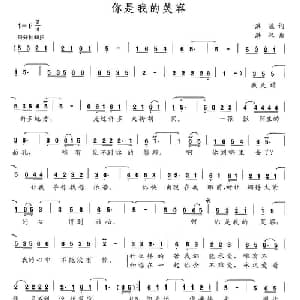 你是我的笑容_通俗唱法乐谱_词曲:洪汉 洪汉