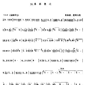 葫芦丝谱 | 傣寨情歌 张祖豫 董锦汉作曲版 张祖豫 董锦汉