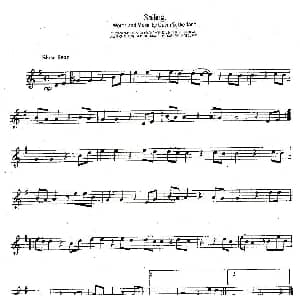 萨克斯谱 | Sailing 远航