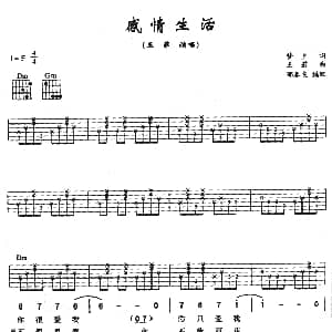 感情生活 吉他谱 王菲 梦夕 王菲