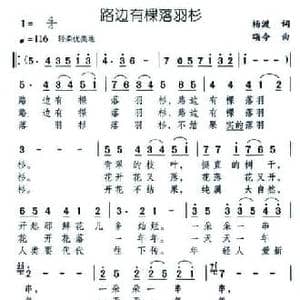路边有棵落羽杉_民歌简谱_词曲:杨渡 颂今