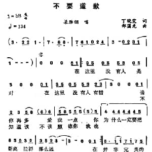 不要道歉_通俗唱法乐谱_词曲:丁晓雯 郑国光