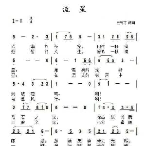 流星_通俗唱法乐谱_词曲:王有才 王有才