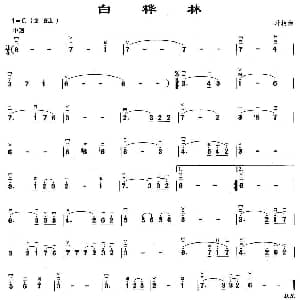 二胡谱 | 白桦林 朴树
