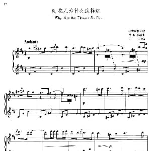 中国旋律 8 花儿为什么这样红 钢琴谱 塔吉克族民歌 雷振邦编曲 张朝改编