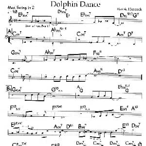 Dolphin Dance 钢琴谱